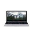 Apple 12" MacBook 256 GB Laptop (Gray)